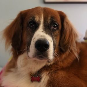 Meet your Posher, Chloe